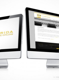 Florida Divorce Lawyer Website