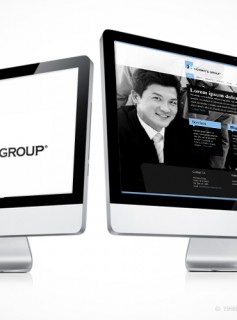 Horwitz Group Website