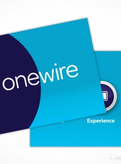 OneWire PowerPoint Template