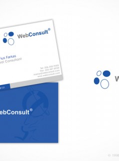 WebConsult Branding